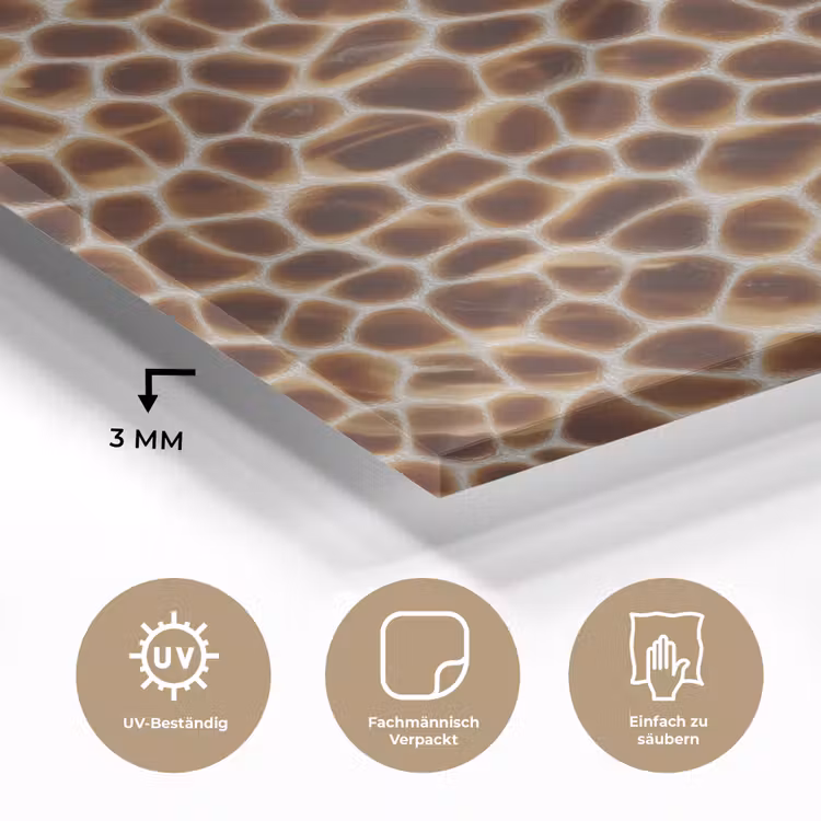 Schildpad - Bruin - Patroon plexiglas 5mm klein 11 -wsfeer2_DE
