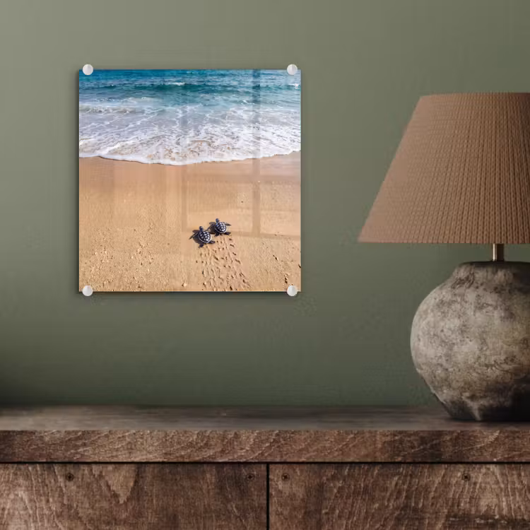 Schildpad - Jong - Strand - Oceaan - Blauw plexiglas 5mm klein -sfeer3