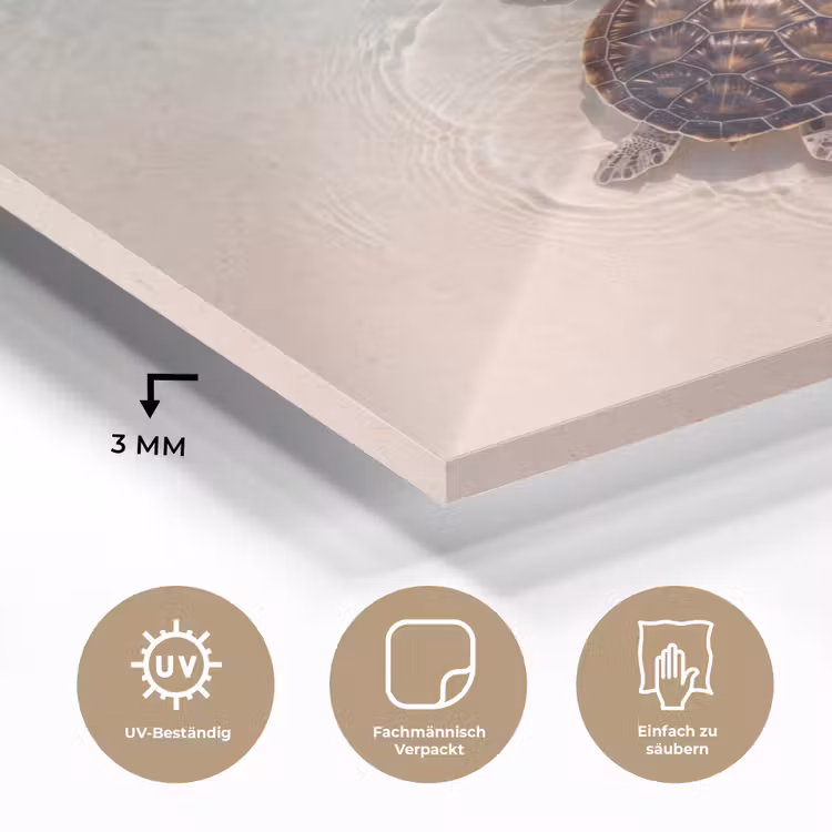 Schildpad - Helder water - Strand - Dieren - Natuur plexiglas 5mm klein -wsfeer2_DE