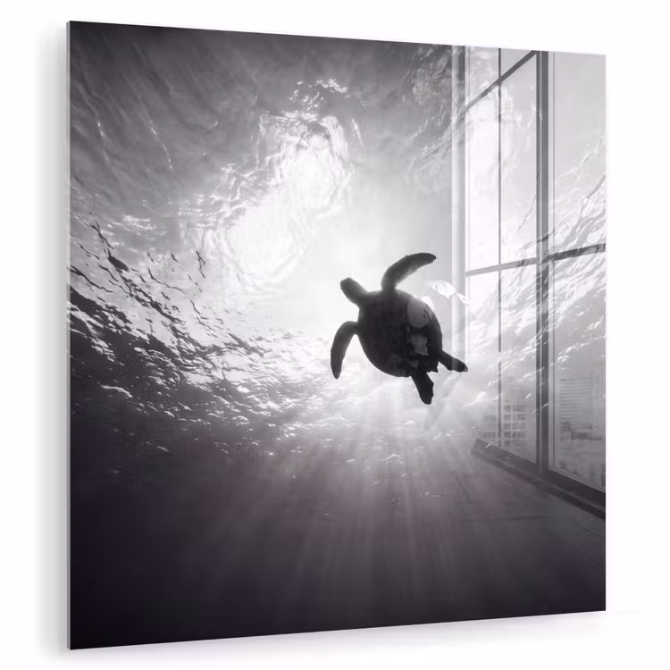 Schildpad - Onderwater - Lichtstralen - Oceaan - Zwart-wit plexiglas 5mm klein -zzzproduct_nieuw