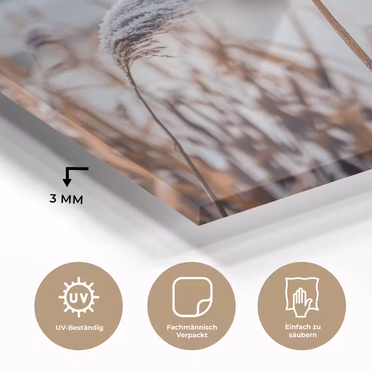Riet - Gras - Natuur - Winter - Meer plexiglas 5mm klein -wsfeer2_DE