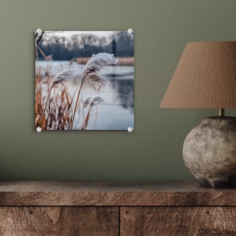 Riet - Gras - Natuur - Winter - Meer plexiglas 5mm klein -sfeer3