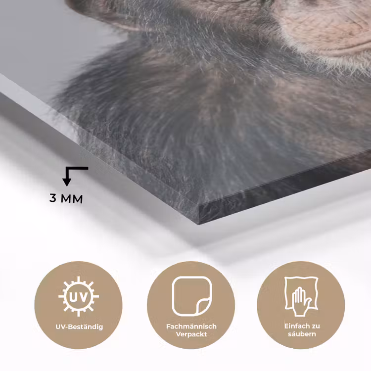 Chimpansee - Badeend - Grijs plexiglas 5mm klein -wsfeer2_DE