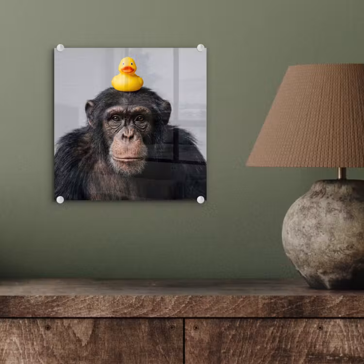 Chimpansee - Badeend - Grijs plexiglas 5mm klein -sfeer3