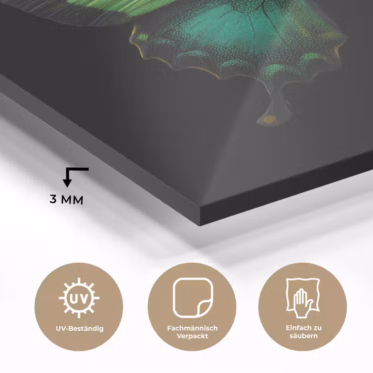 Vlinder - Groen - Opvallend plexiglas 5mm klein -wsfeer2_DE
