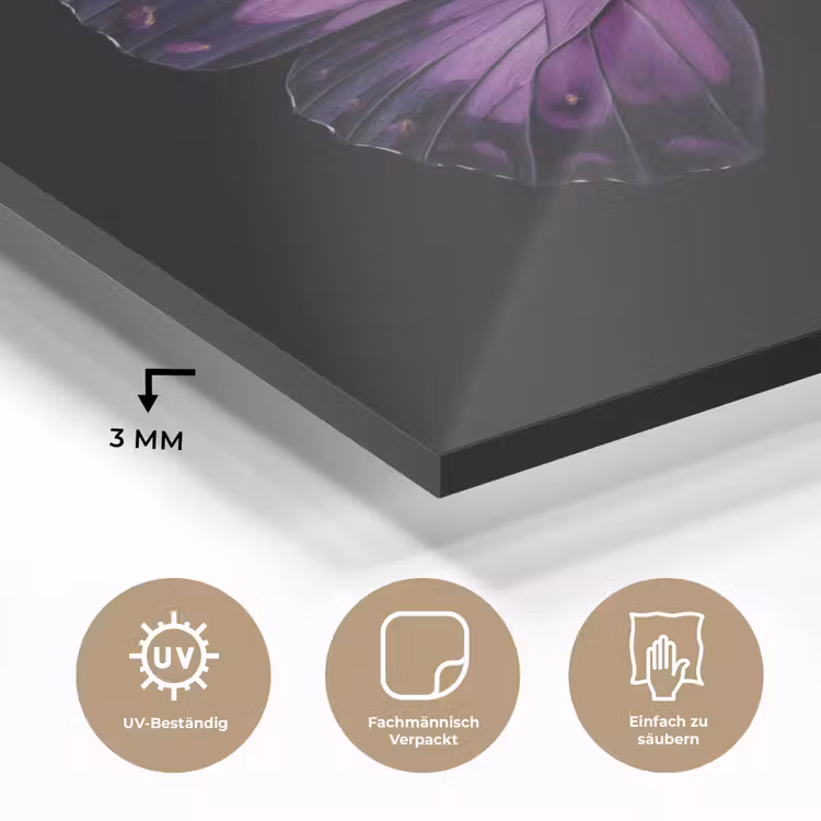 Vlinder - Paars - Levendig plexiglas 5mm klein -wsfeer2_DE