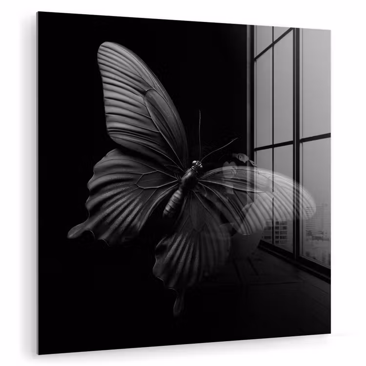 Vlinder - Zwart - Insect - Dieren plexiglas 5mm klein -zzzproduct_nieuw