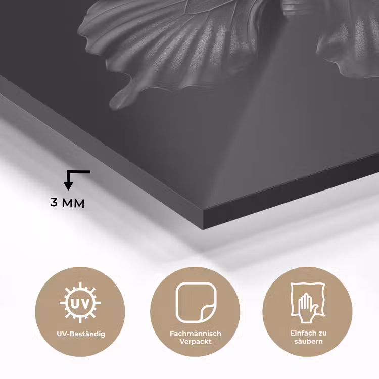 Vlinder - Zwart - Insect - Dieren plexiglas 5mm klein -wsfeer2_DE