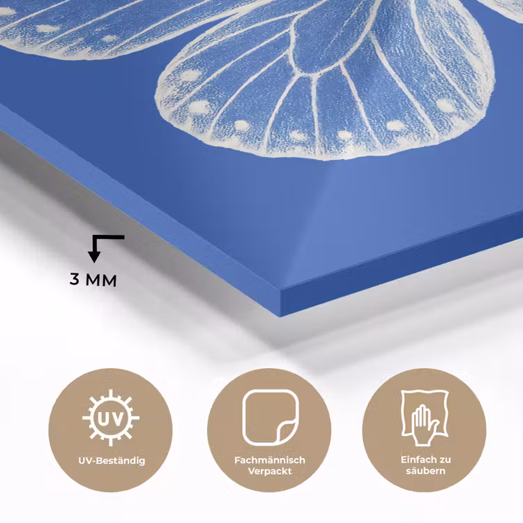 Vlinder - Wit - Getekend - Stippen plexiglas 5mm klein -wsfeer2_DE