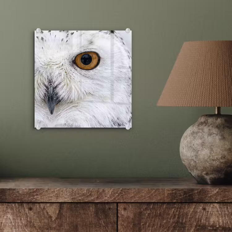 Sneeuwuil - Oog - Wildlife - Wit plexiglas 5mm klein -sfeer3