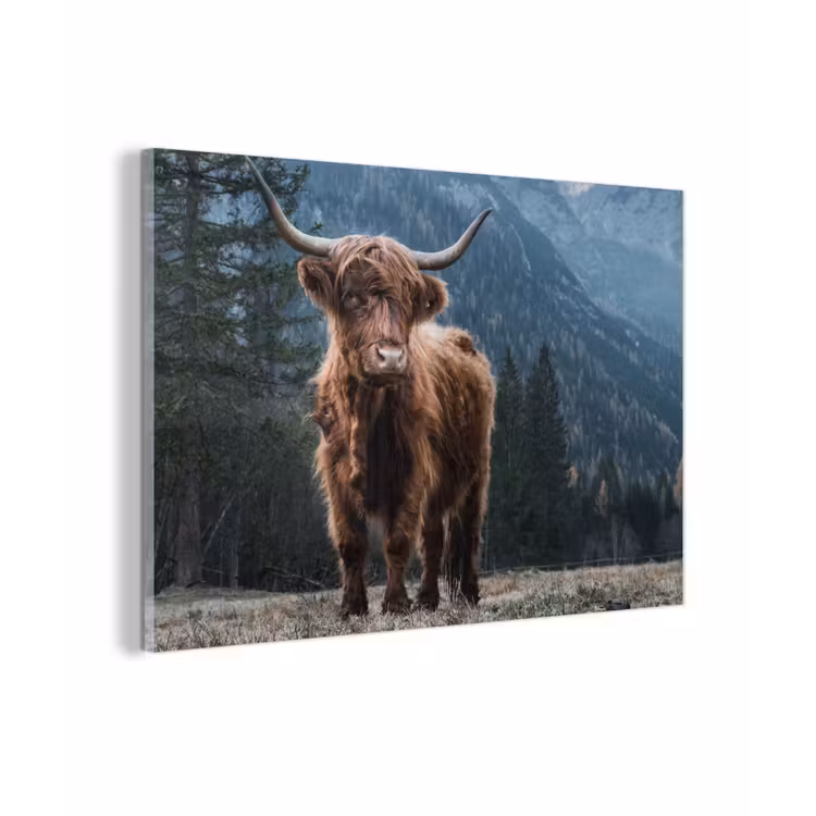 Schottische Highlander - Berg - Landschaft - Bäume - Kuh - Natur plexiglas 5mm klein -zzzproduct_nieuw