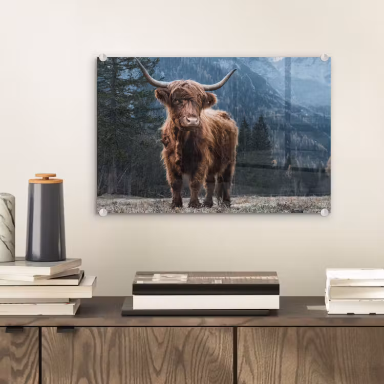 Schottische Highlander - Berg - Landschaft - Bäume - Kuh - Natur plexiglas 5mm klein -sfeer1