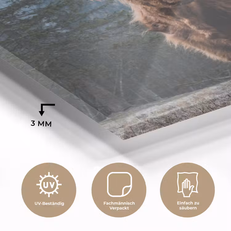 Schottische Highlander - Berg - Landschaft - Bäume - Kuh - Natur plexiglas 5mm klein -wsfeer2_DE