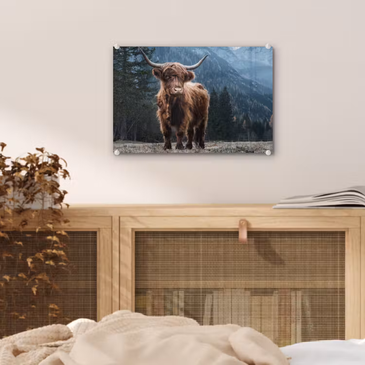 Schottische Highlander - Berg - Landschaft - Bäume - Kuh - Natur plexiglas 5mm klein -sfeer3