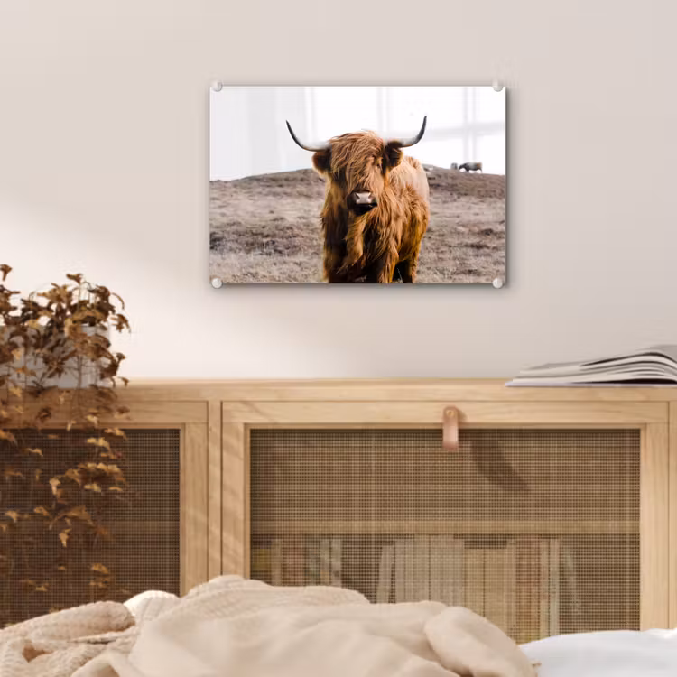 Schotse hooglander - Landschap - Koe - Bruin - Dieren - Natuur plexiglas 5mm klein -sfeer3