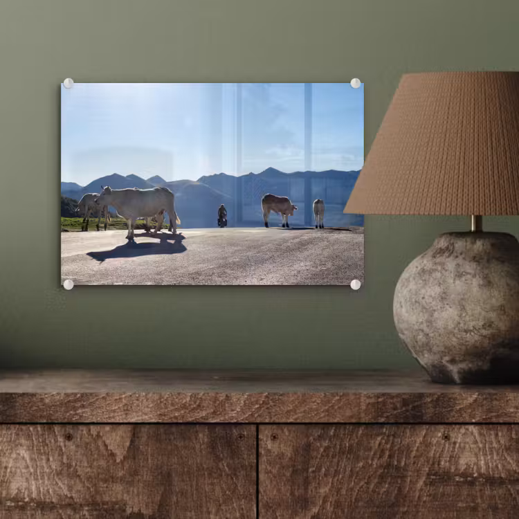Schotse hooglander - Licht - Berg - Natuur plexiglas 5mm klein -wsfeer2_DE