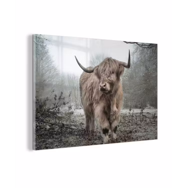 Schotse hooglander - Natuur - Herfst - Dieren - Wild - Bos plexiglas 5mm klein -zzzproduct_nieuw