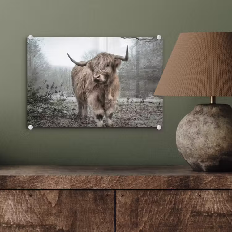 Schotse hooglander - Natuur - Herfst - Dieren - Wild - Bos plexiglas 5mm klein -wsfeer2_DE