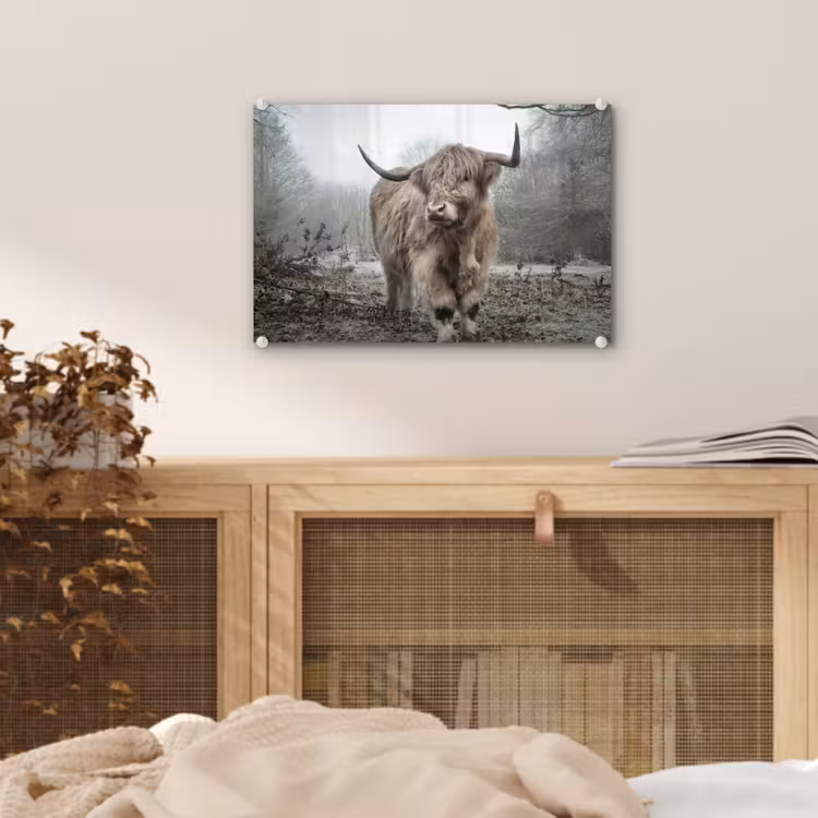 Schotse hooglander - Natuur - Herfst - Dieren - Wild - Bos plexiglas 5mm klein -sfeer3