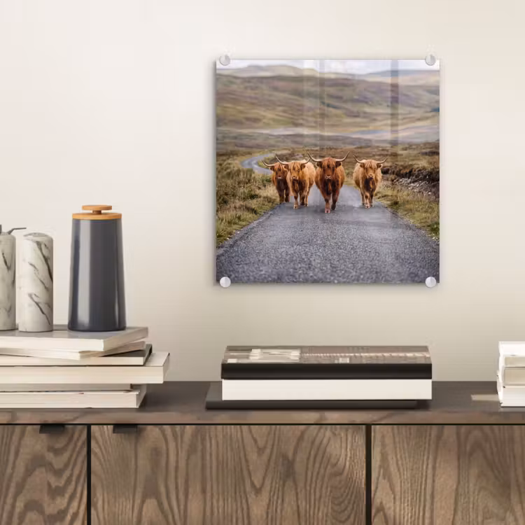 Schotse Hooglanders - Weg - Landschap - Kudde plexiglas 5mm klein -sfeer1