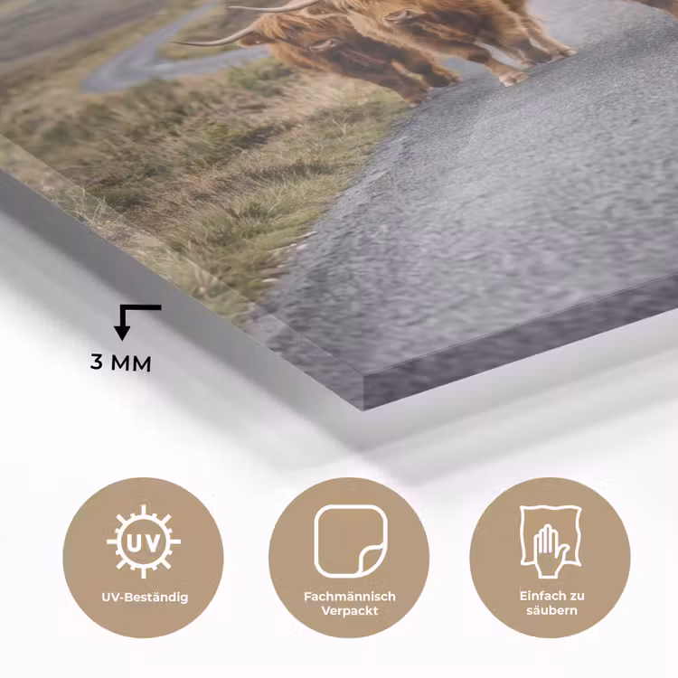 Schotse Hooglanders - Weg - Landschap - Kudde plexiglas 5mm klein -wsfeer2_DE