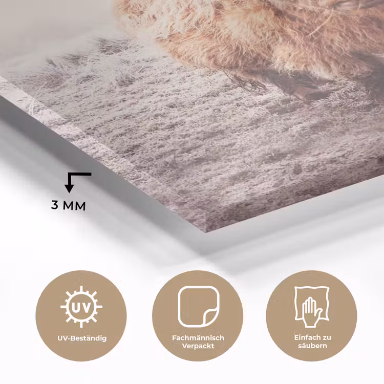 Schotse hooglanders - Licht - Lucht - Natuur plexiglas 5mm klein -wsfeer2_DE
