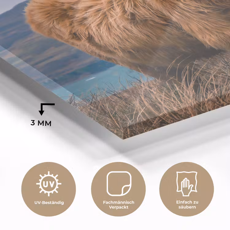 Schotse Hooglander - Berg - Water - Natuur - Koe plexiglas 5mm klein -wsfeer2_DE