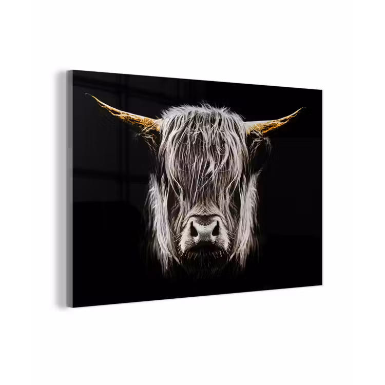 Schotse hooglander - Goud - Hoorns - Zwart wit - Koe - Dieren plexiglas 5mm klein -zzzproduct_nieuw