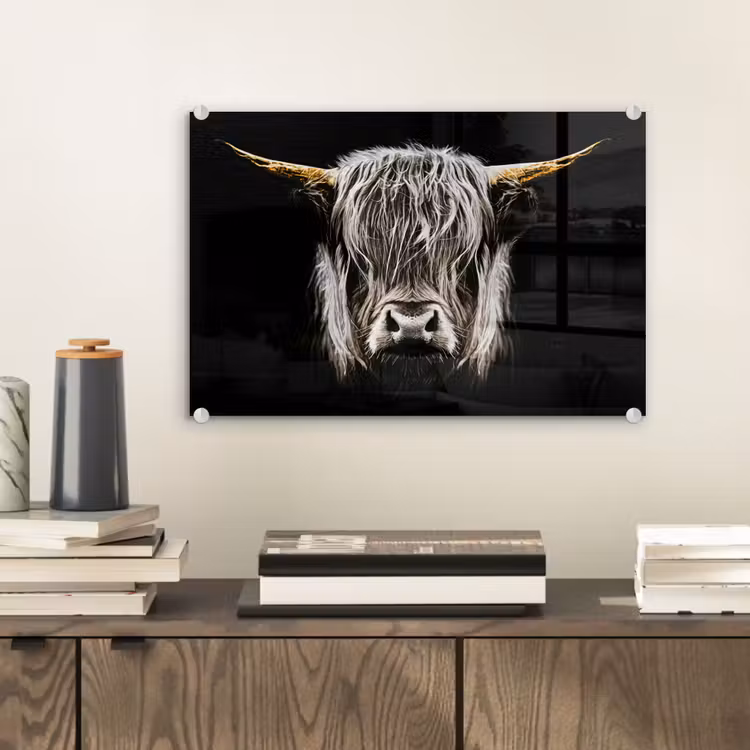 Schotse hooglander - Goud - Hoorns - Zwart wit - Koe - Dieren plexiglas 5mm klein -sfeer1