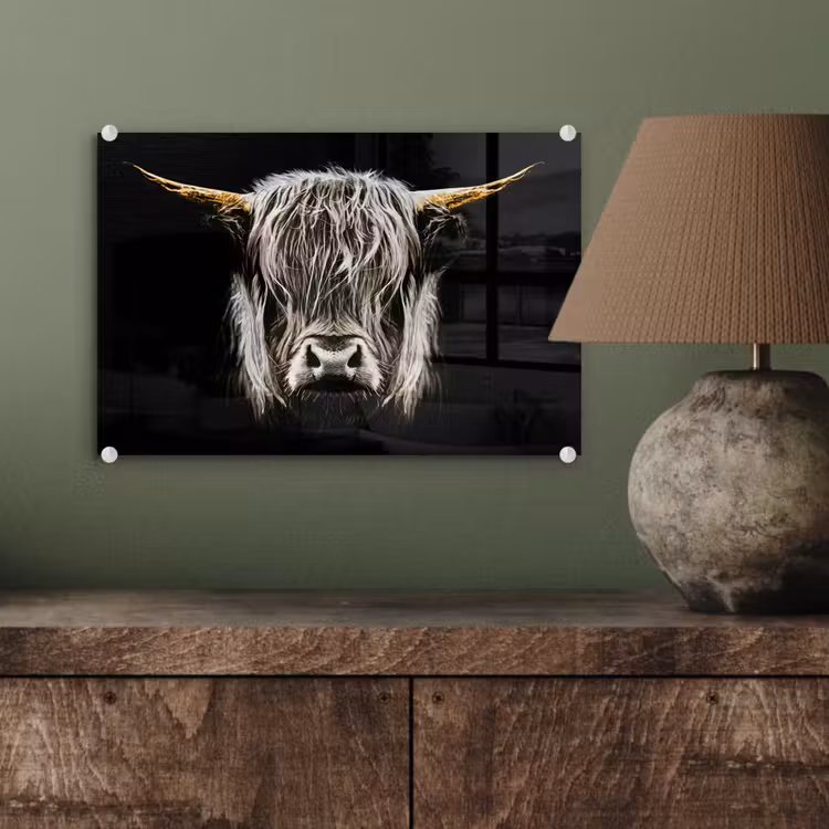 Schotse hooglander - Goud - Hoorns - Zwart wit - Koe - Dieren plexiglas 5mm klein -wsfeer2_DE