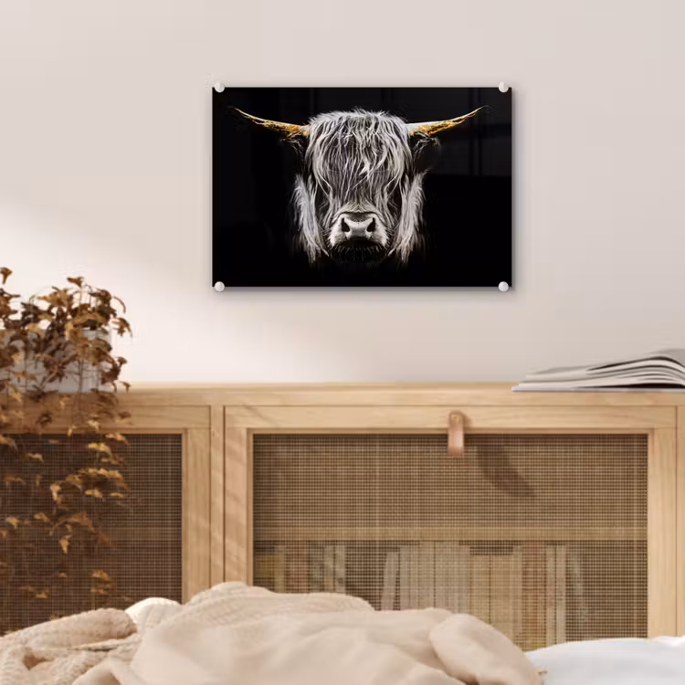 Schotse hooglander - Goud - Hoorns - Zwart wit - Koe - Dieren plexiglas 5mm klein -sfeer3