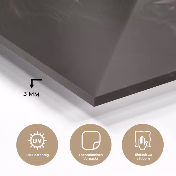 Schotse hooglander - Goud - Koebel - Hoorns - Dieren plexiglas 5mm klein -wsfeer2_DE