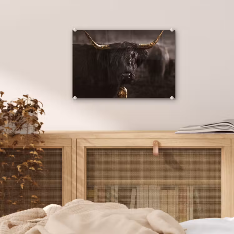 Schotse hooglander - Goud - Koebel - Hoorns - Dieren plexiglas 5mm klein -sfeer3
