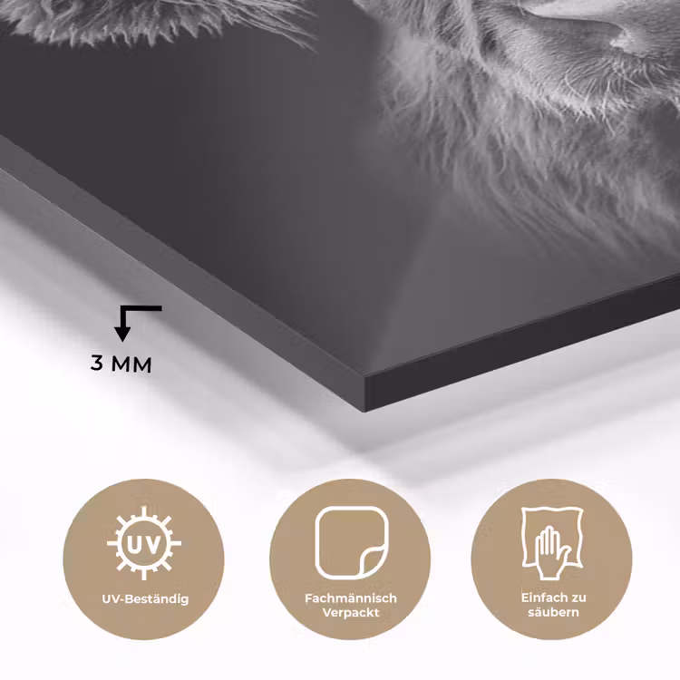 Schotse Hooglander - Horens - Zwart - Wit - Koe - Wild - Dieren plexiglas 5mm klein -wsfeer2_DE