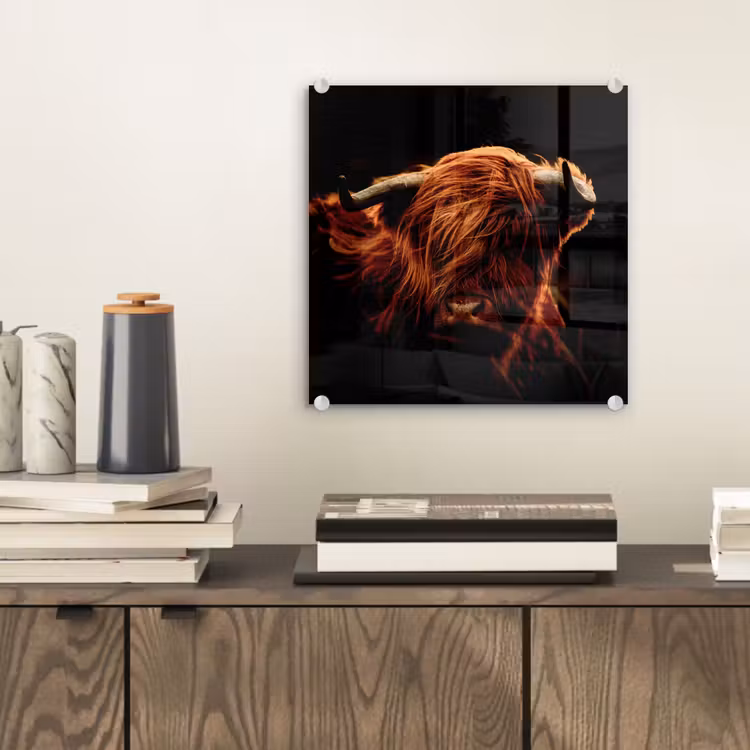 Schotse hooglander - Koe - Hoorns - Portret - Dieren plexiglas 5mm klein -sfeer1