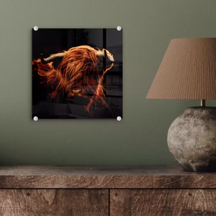 Schotse hooglander - Koe - Hoorns - Portret - Dieren plexiglas 5mm klein -sfeer3