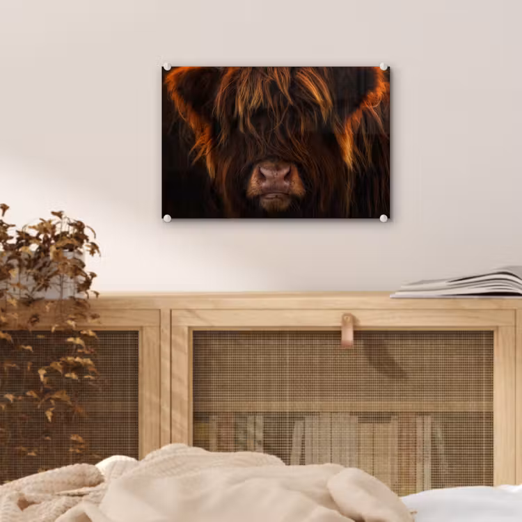 Schotse Hooglander - Koe - Portret - Dieren plexiglas 5mm klein -sfeer4