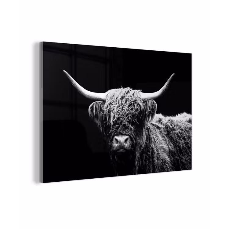 Schotse Hooglander - Koe - Zwart - Wit - Dieren plexiglas 5mm klein -zzzproduct_nieuw