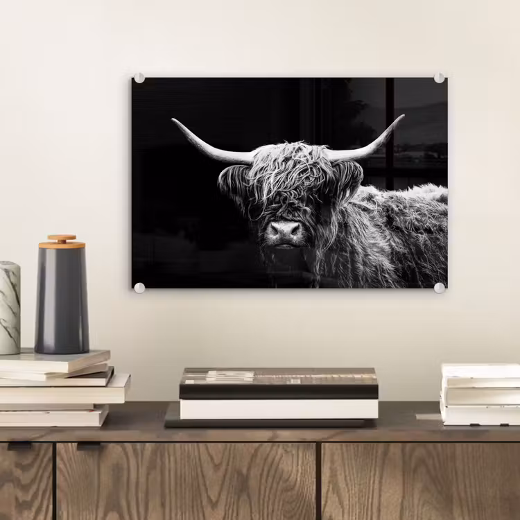 Schotse Hooglander - Koe - Zwart - Wit - Dieren plexiglas 5mm klein -sfeer1