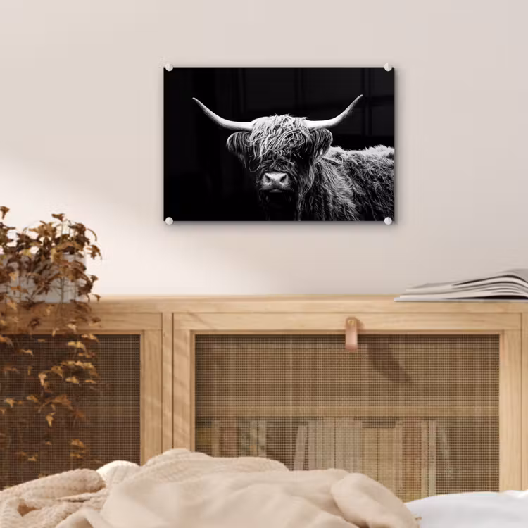 Schotse Hooglander - Koe - Zwart - Wit - Dieren plexiglas 5mm klein -sfeer3
