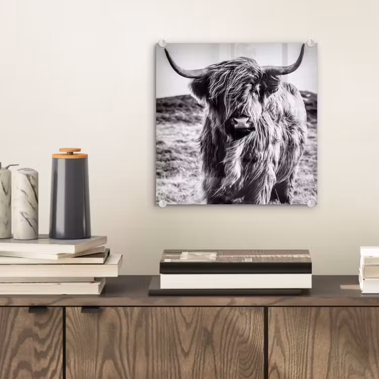 Schotse hooglander - Natuur - Koe - Zwart - Wit plexiglas 5mm klein -sfeer1