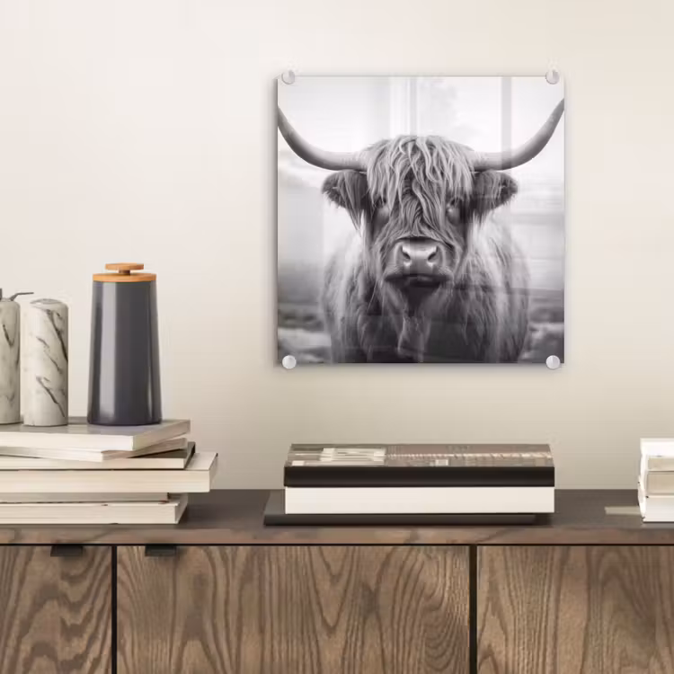 Schotse hooglander - Mist - Zwart - Wit plexiglas 5mm klein -sfeer1