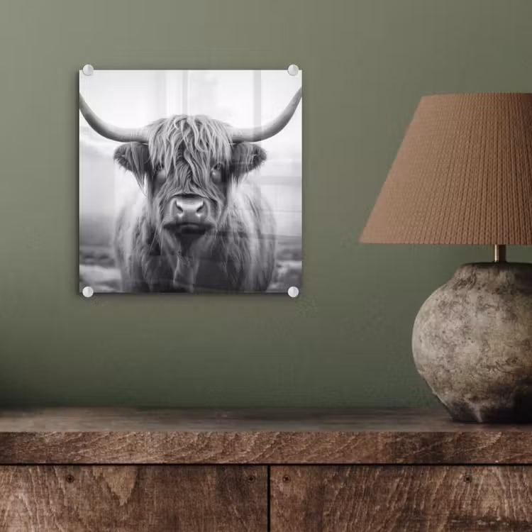 Schotse hooglander - Mist - Zwart - Wit plexiglas 5mm klein -sfeer3
