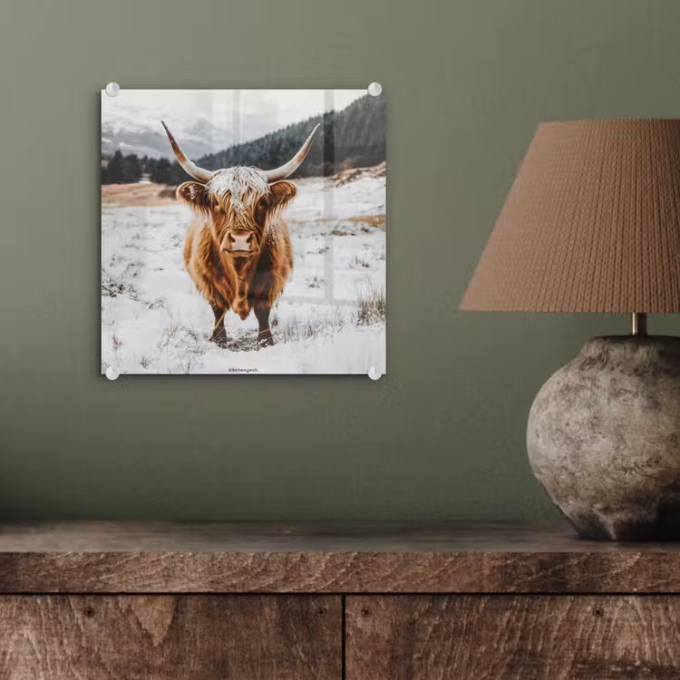 Schotse Hooglander - Sneeuw - Winter - Dieren plexiglas 5mm klein -sfeer3