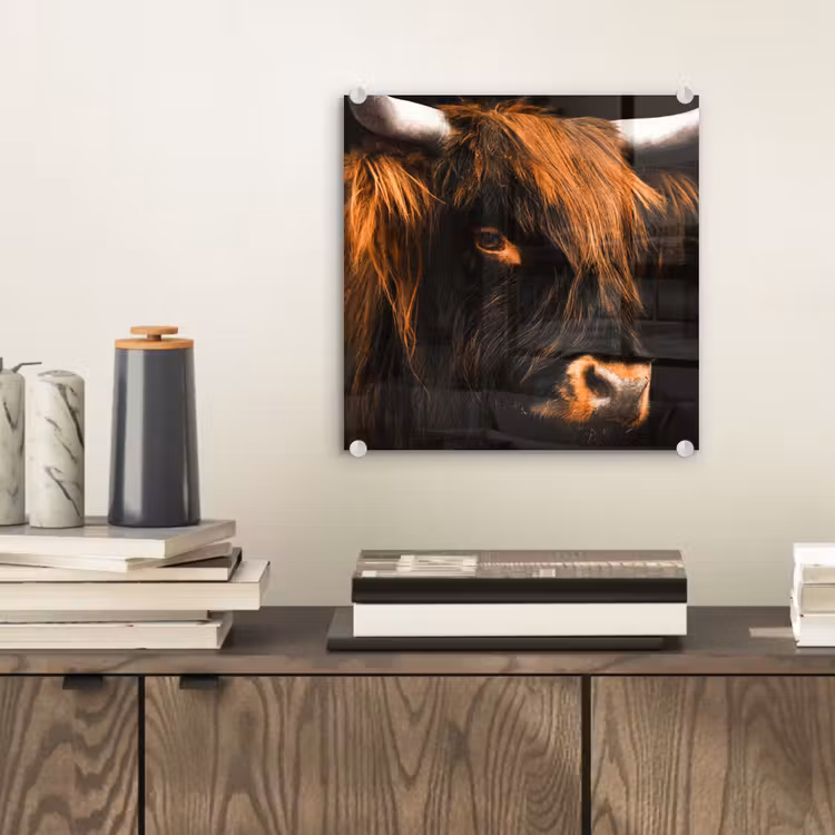 Schotse hooglander - Zwart - Koe - Hoorn - Dieren plexiglas 5mm klein -sfeer1