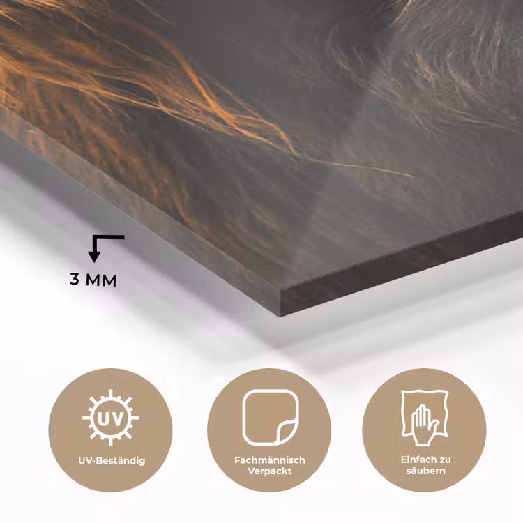 Schotse hooglander - Zwart - Koe - Hoorn - Dieren plexiglas 5mm klein -wsfeer2_DE