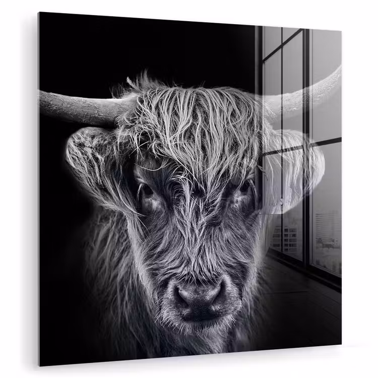 Schotse hooglander - Zwart - Koe - Dieren plexiglas 5mm klein -zzzproduct_nieuw