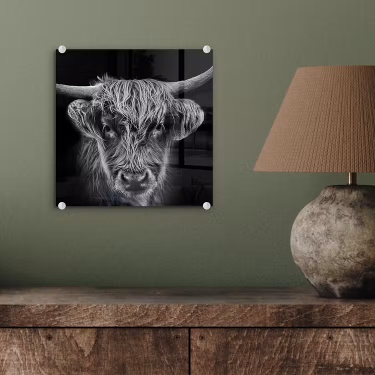 Schotse hooglander - Zwart - Koe - Dieren plexiglas 5mm klein -sfeer3