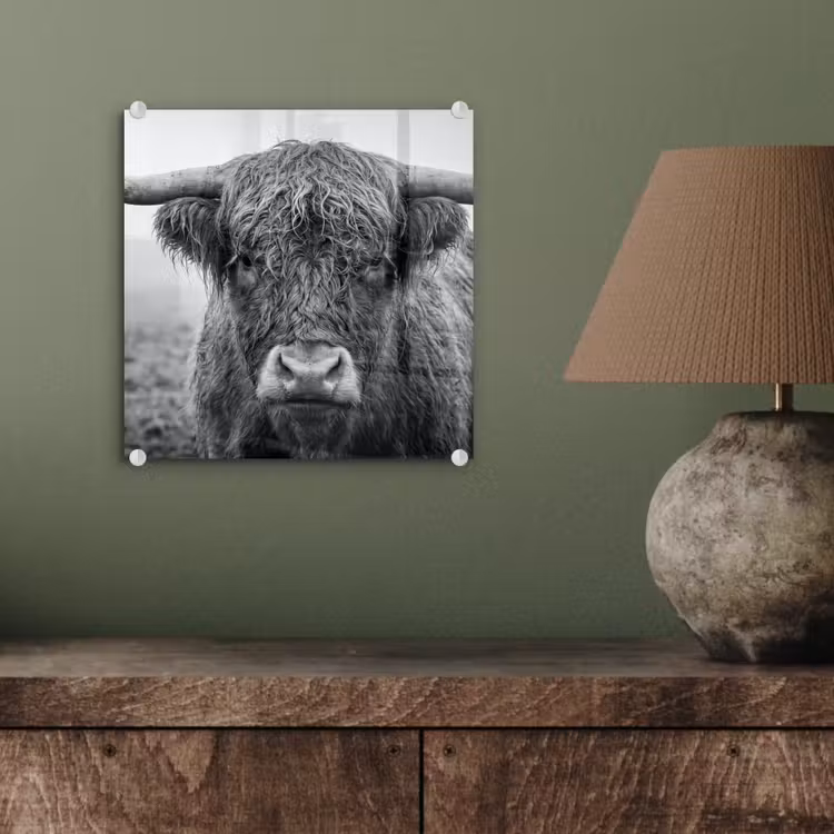 Schotse hooglander - Zwart - Wit - Gras plexiglas 5mm klein -sfeer3
