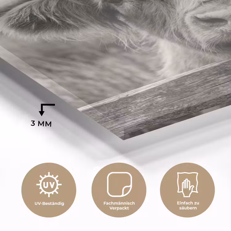 Schotse hooglander - Zwart - Wit - Hout plexiglas 5mm klein -wsfeer2_DE